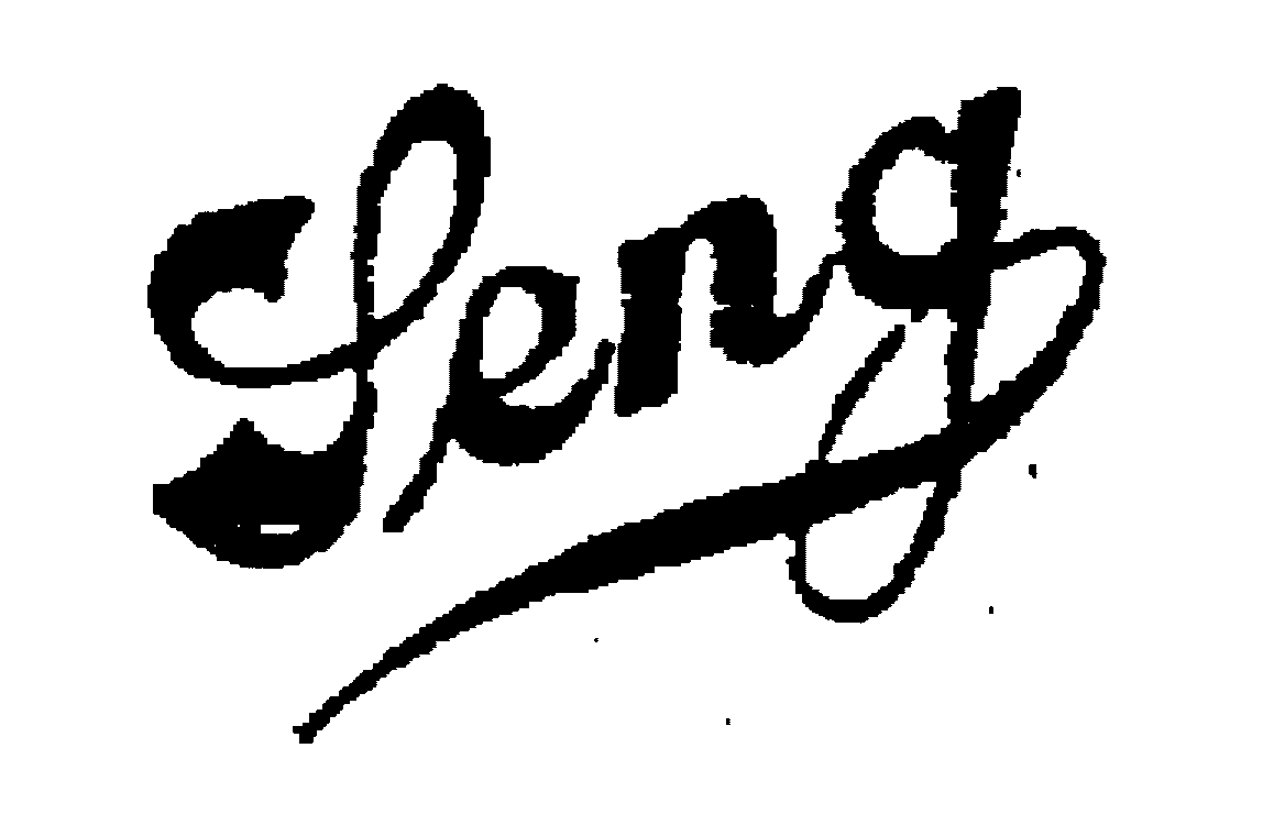 Trademark Logo SENG