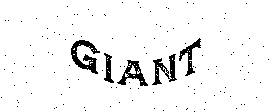 Trademark Logo GIANT