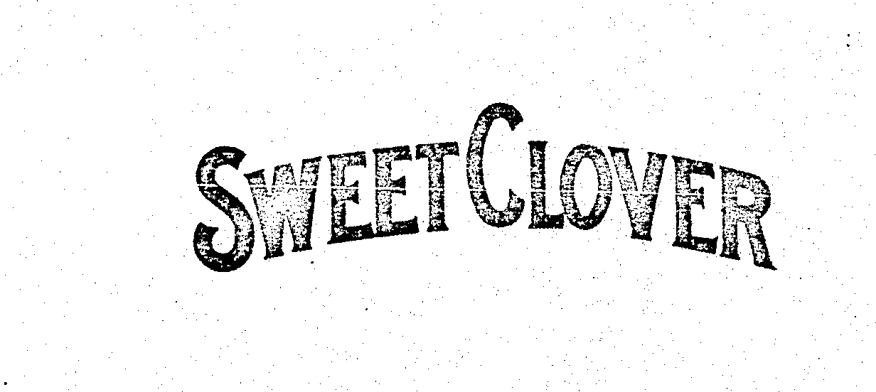 SWEET CLOVER