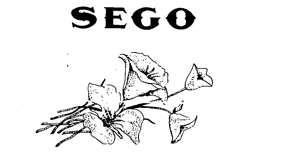 Trademark Logo SEGO