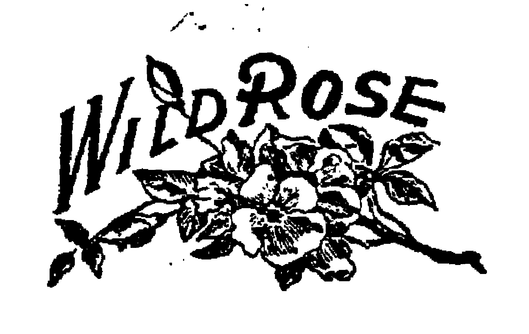Trademark Logo WILD ROSE