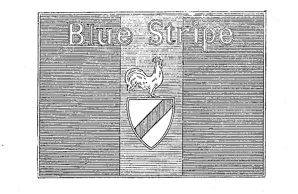 Trademark Logo BLUE STRIPE