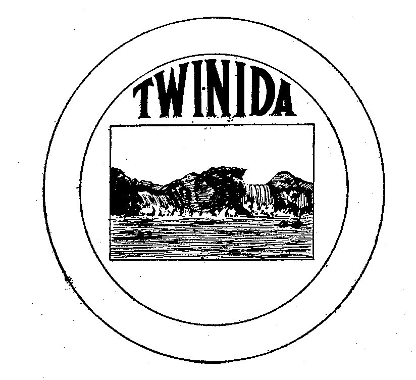 Trademark Logo TWINIDA