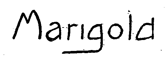 Trademark Logo MARIGOLD