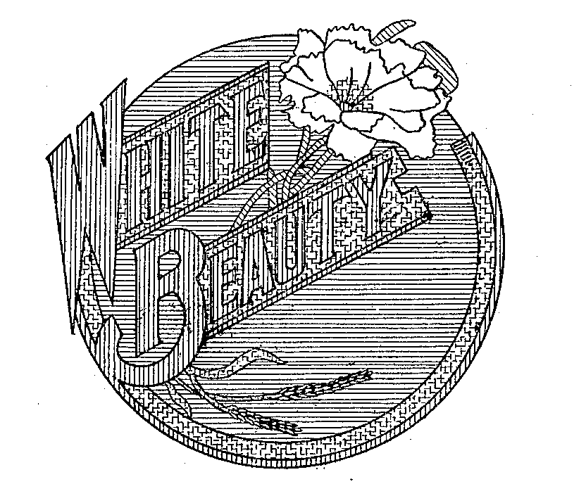 Trademark Logo WHITE BEAUTY