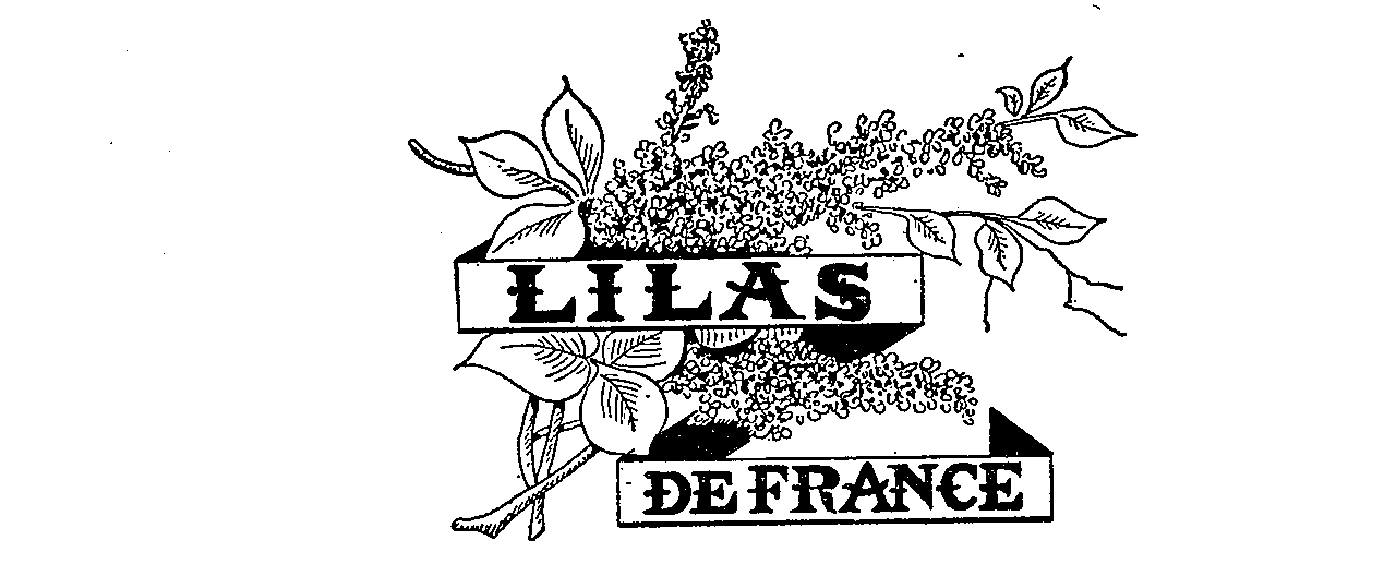  LILAS DE FRANCE