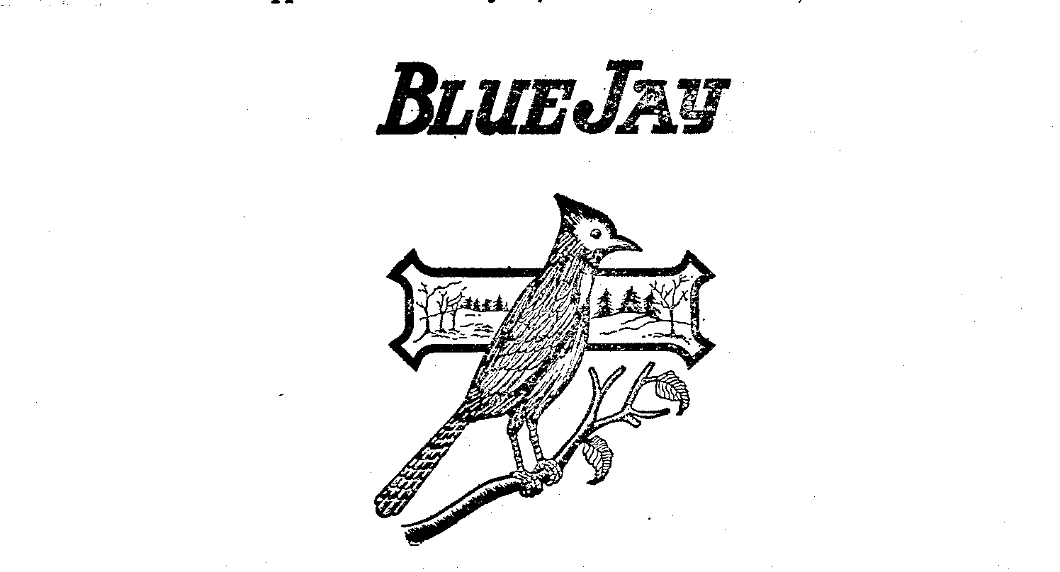 BLUE JAY