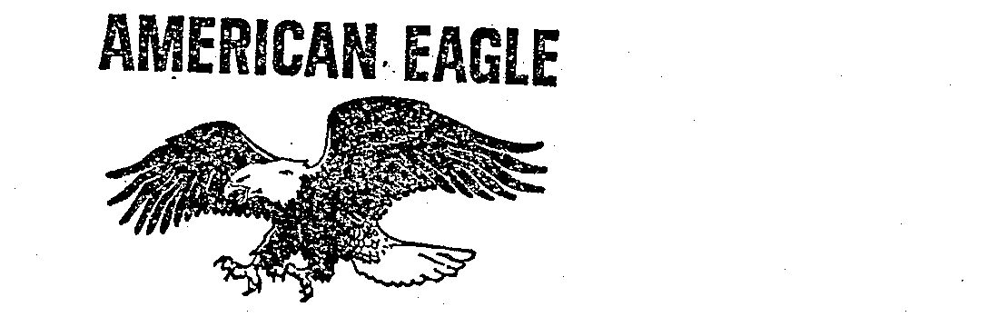  AMERICAN EAGLE