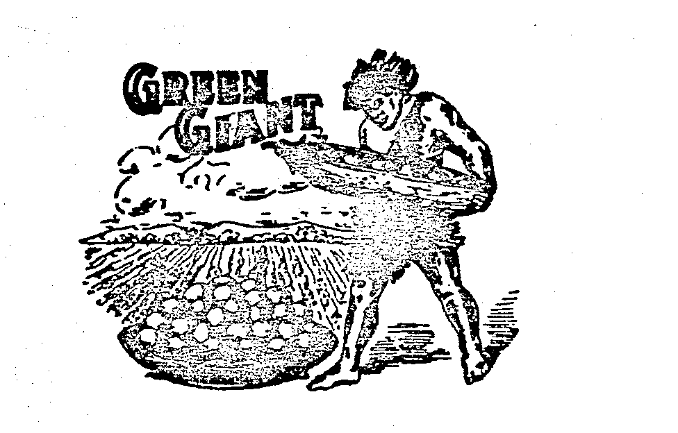 Trademark Logo GREEN GIANT