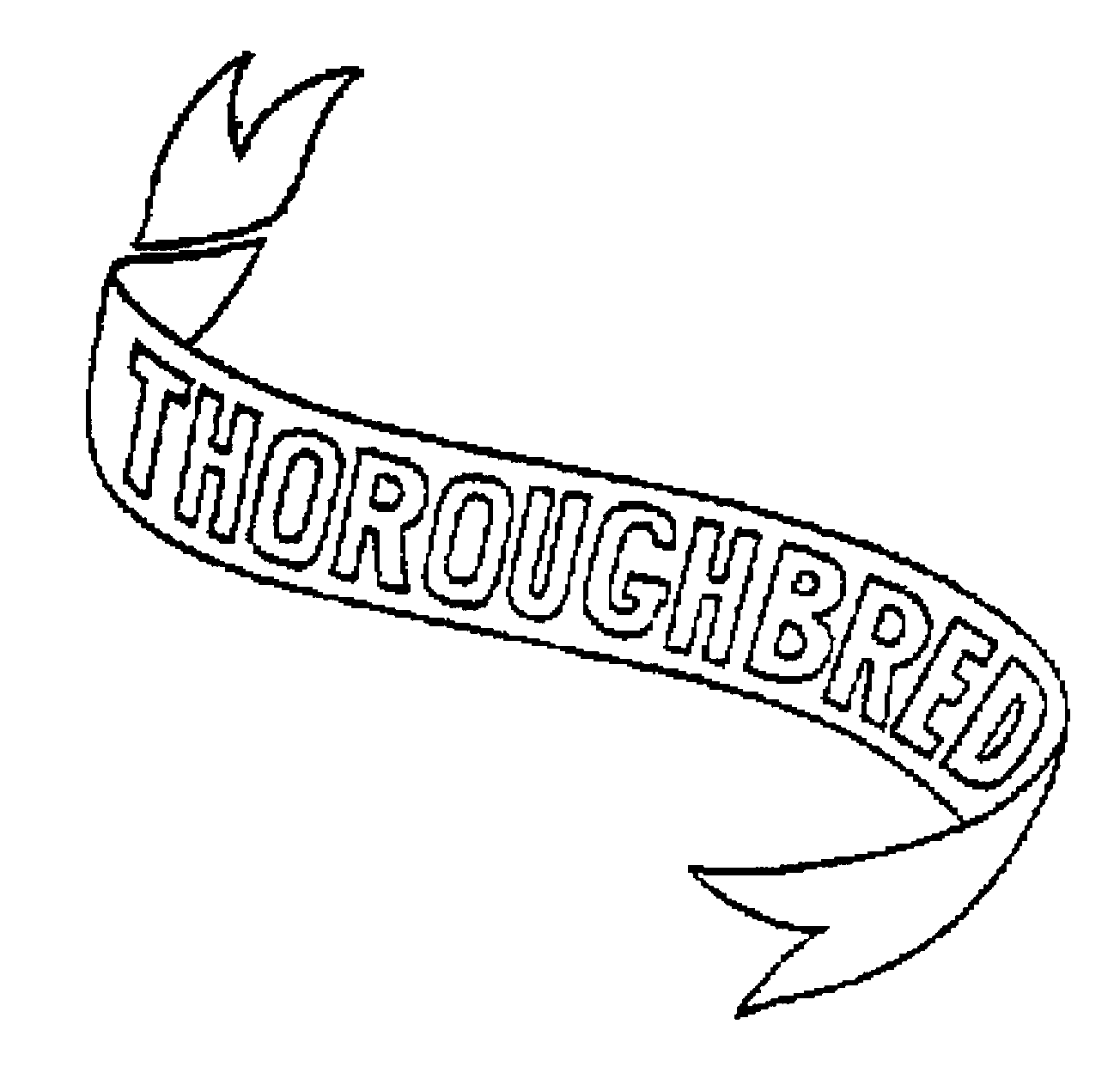 THOROUGHBRED