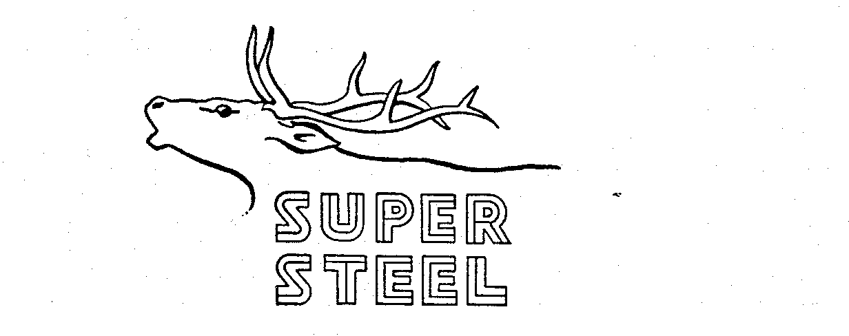 SUPER STEEL