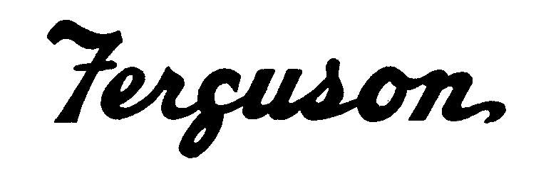 Trademark Logo FERGUSON
