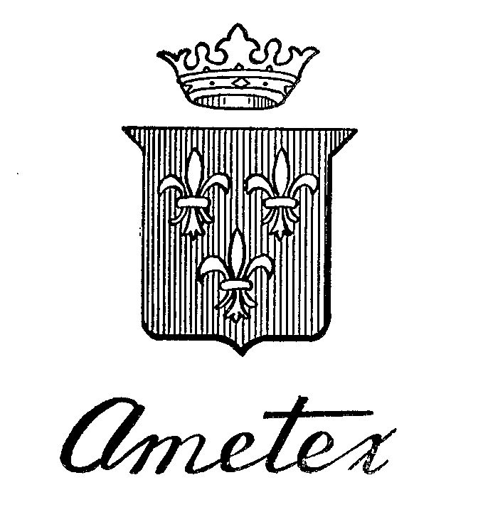 Trademark Logo AMETEX