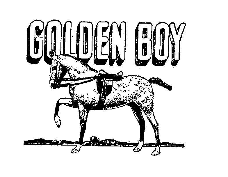 GOLDEN BOY