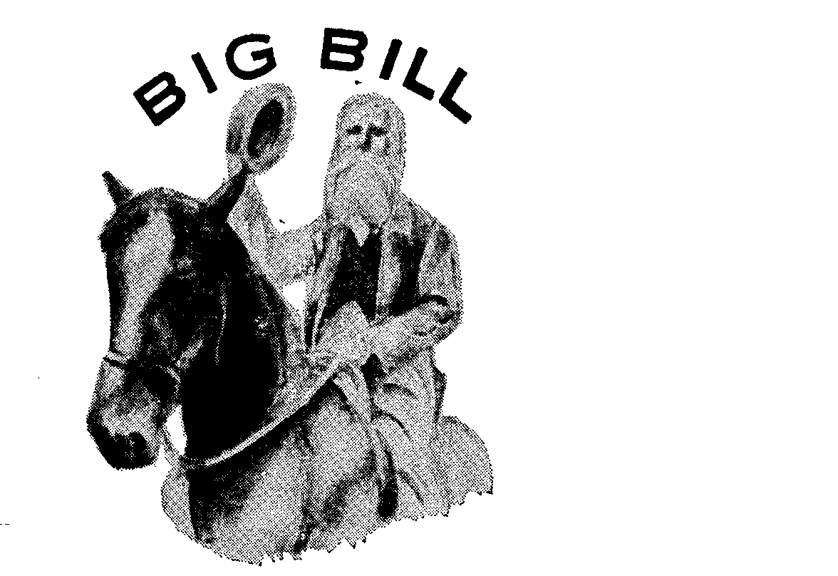  BIG BILL