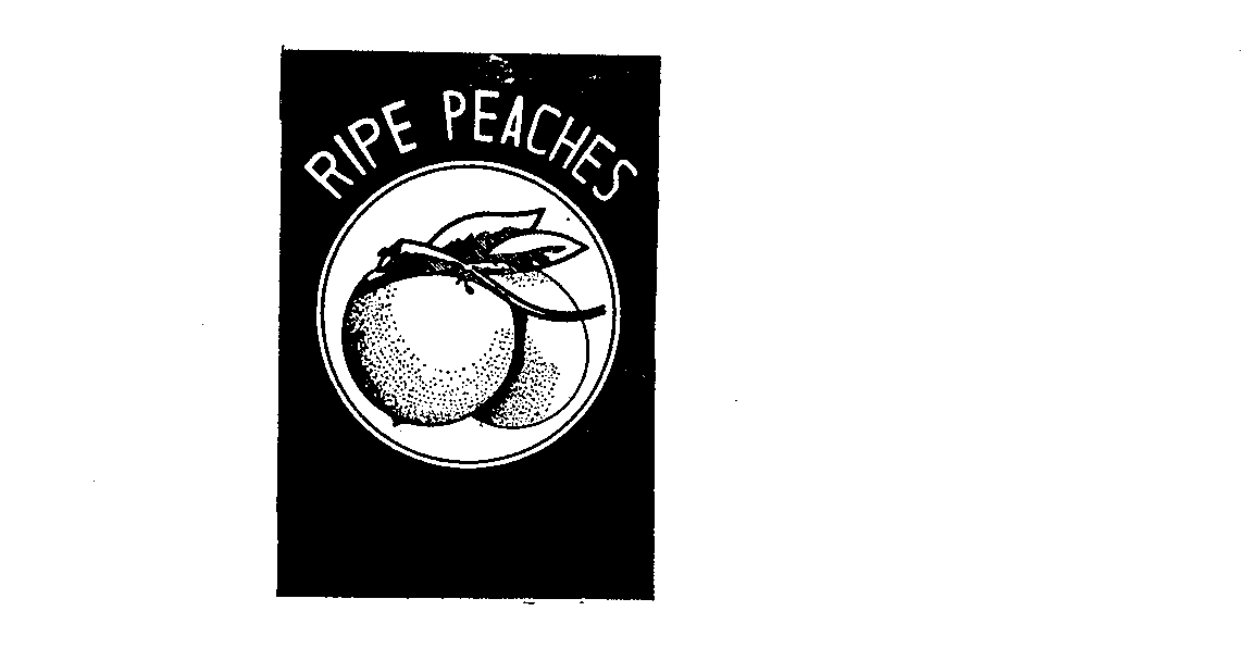  RIPE PEACHES