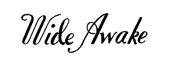 Trademark Logo WIDE AWAKE