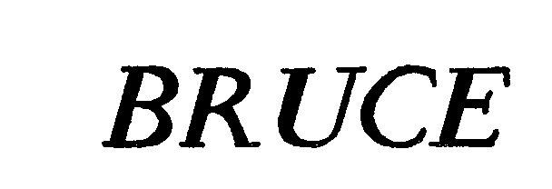 Trademark Logo BRUCE