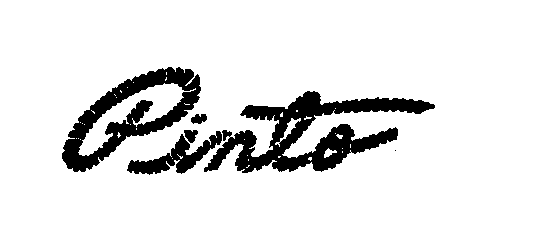 Trademark Logo PINTO