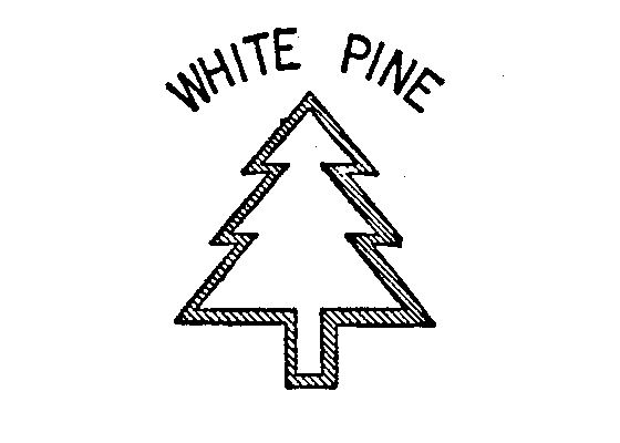 Trademark Logo WHITE PINE