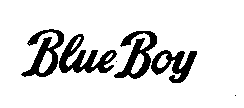 BLUE BOY