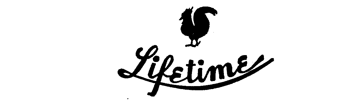  LIFETIME