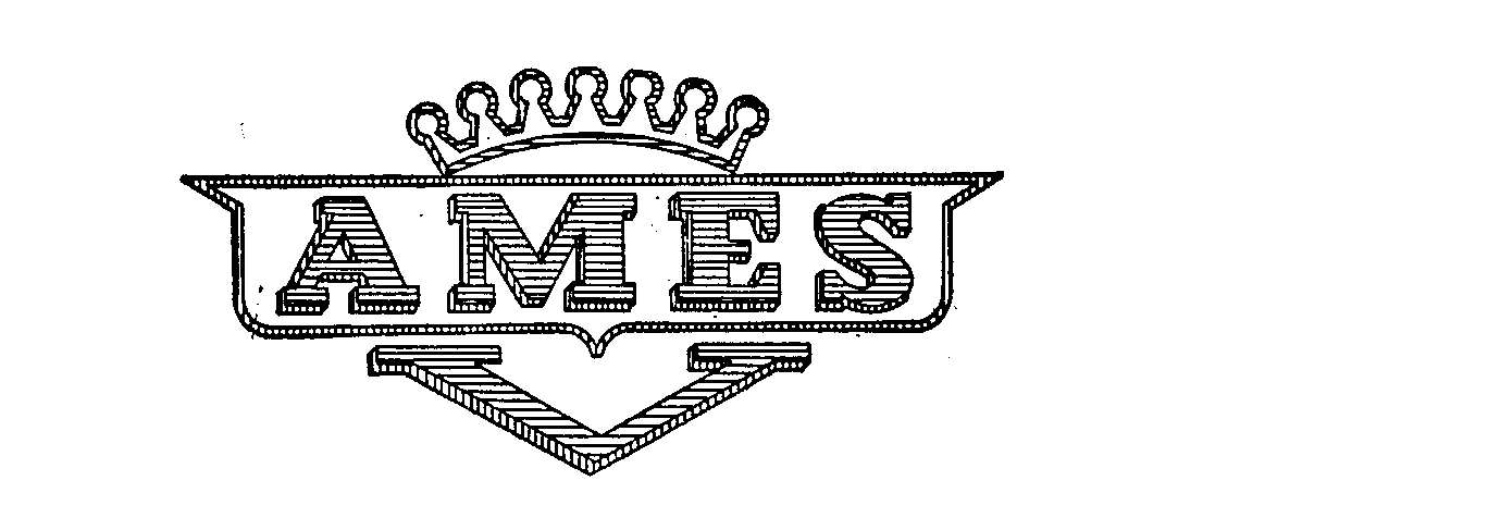 Trademark Logo AMES