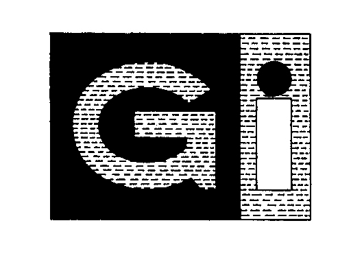  GI