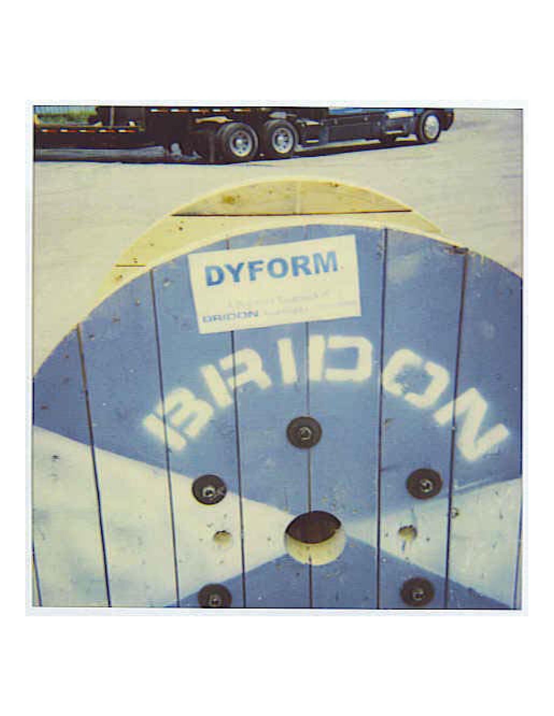  DYFORM