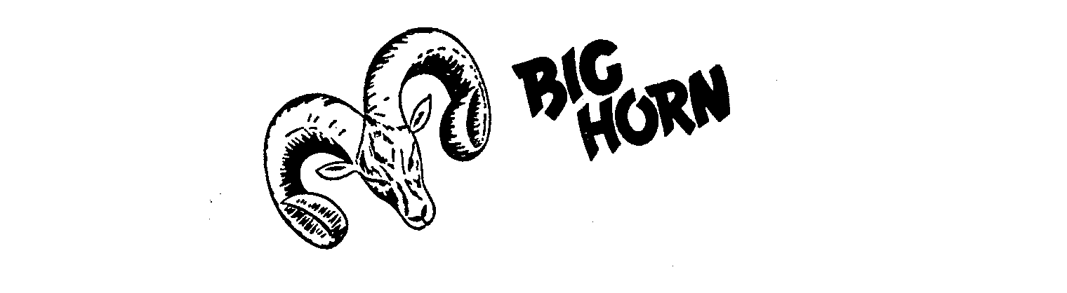  BIG HORN