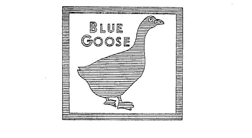 BLUE GOOSE