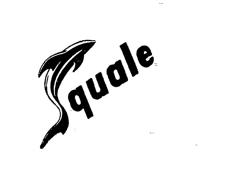 Trademark Logo SQUALE