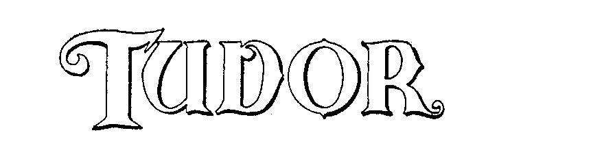Trademark Logo TUDOR