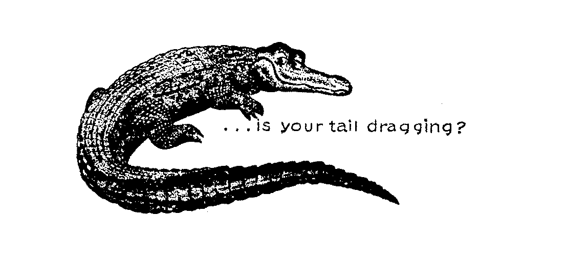  IS YOUR TAIL DRAGGING?