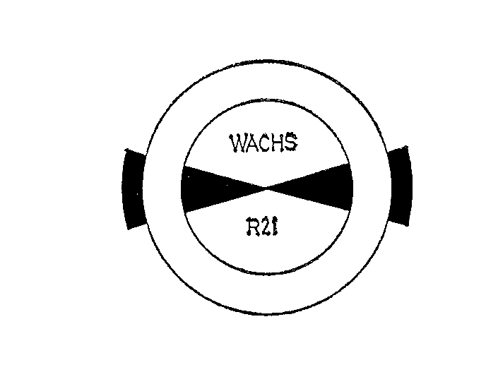 Trademark Logo WACHS R21