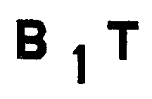 Trademark Logo B1T