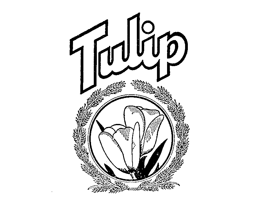  TULIP