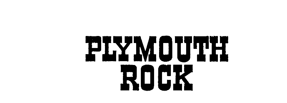 PLYMOUTH ROCK
