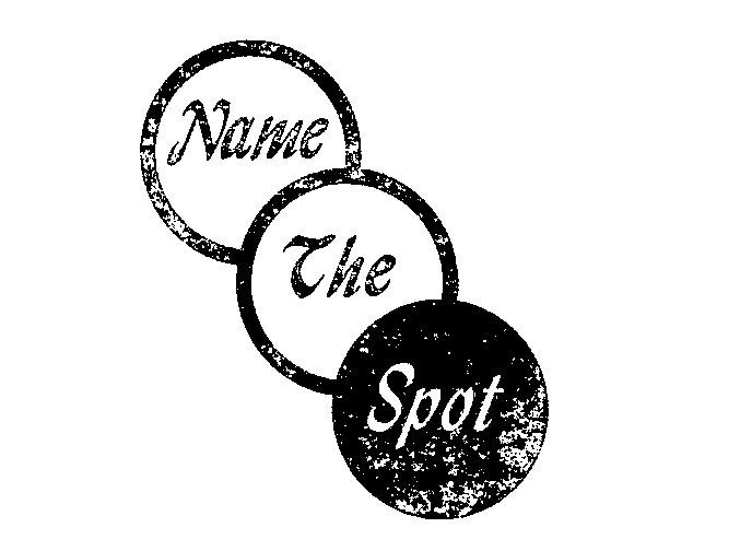 Trademark Logo NAME THE SPOT