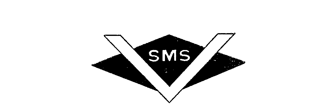 Trademark Logo VSMS