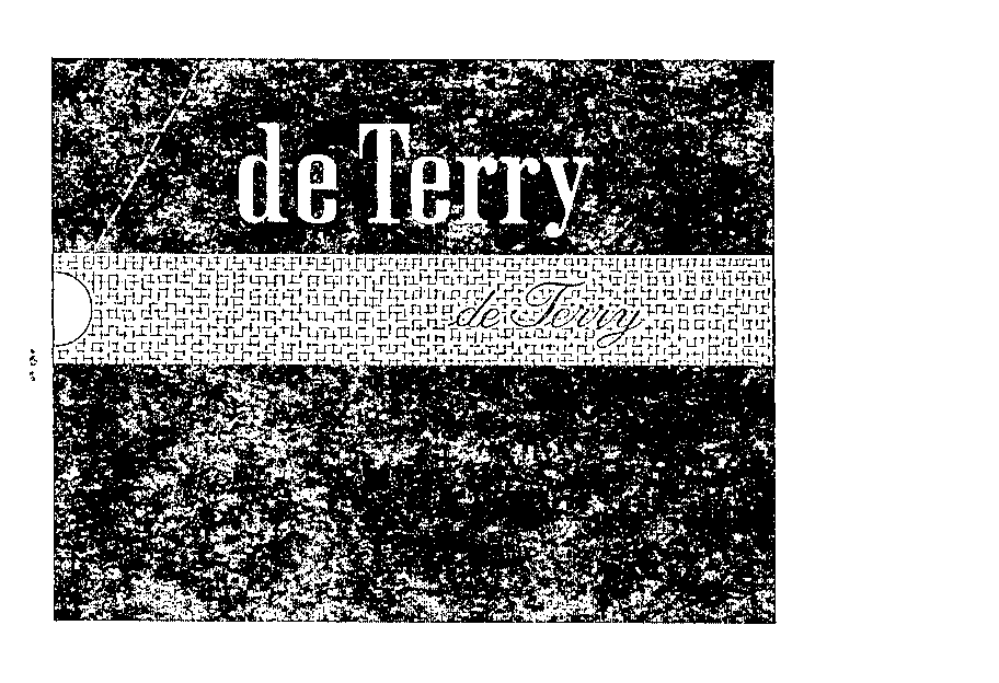  DE TERRY DE TERRY