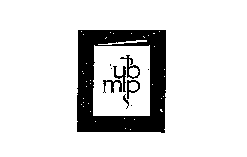 Trademark Logo YBMP