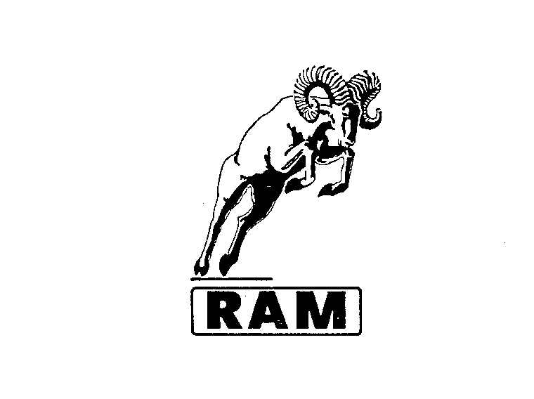  RAM