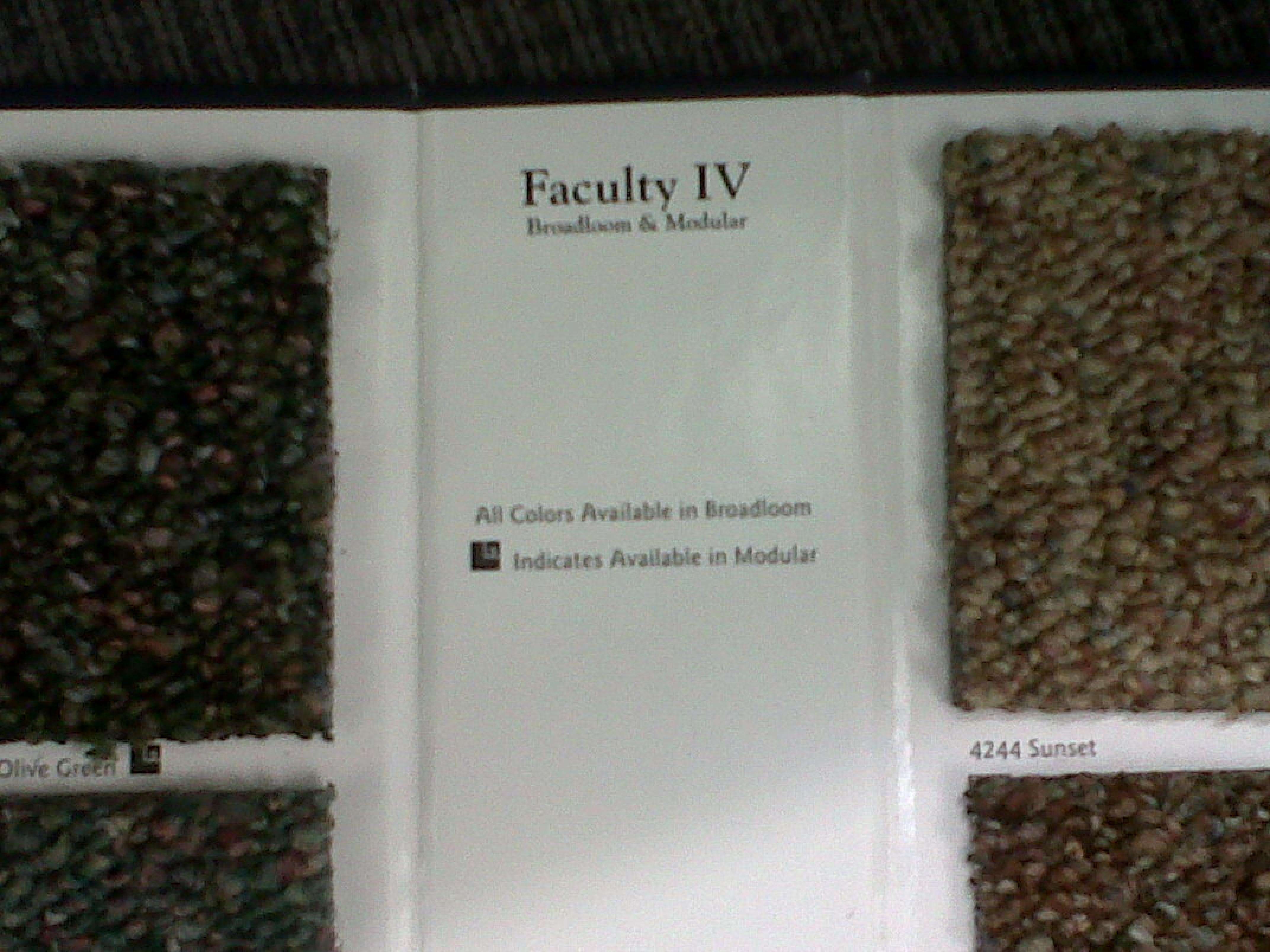 Trademark Logo FACULTY