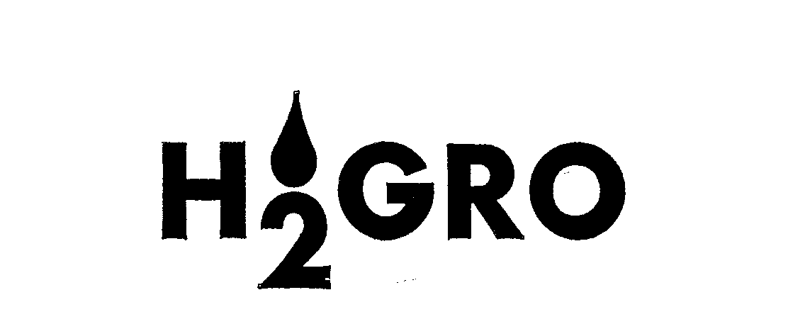Trademark Logo H2GRO