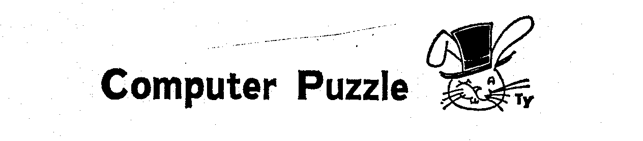 Trademark Logo COMPUTER PUZZLE TY