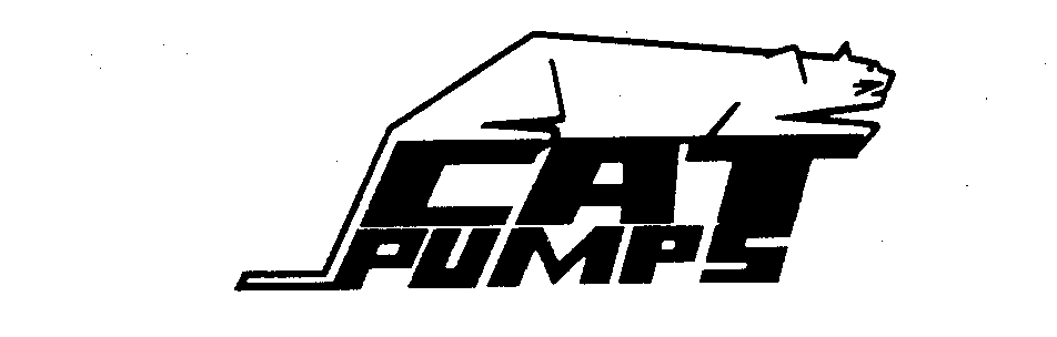  CAT PUMPS