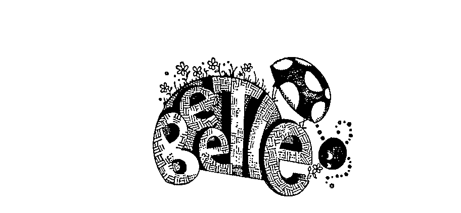 Trademark Logo BEETLE