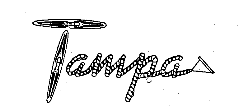 Trademark Logo TAMPA