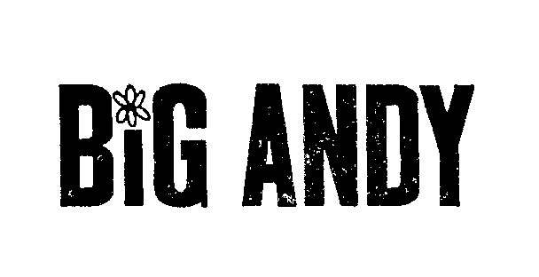 Trademark Logo BIG ANDY